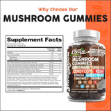 15in1 Mushroom Gummies with Lion's Mane Turkey Tail Cordyceps Reishi Chaga Sweet Toot Maitake Meshima Poria Cocos Shiitake Tremella, Oyster Agaricus Mushrooms for Men and Women Supplement - 2Pack