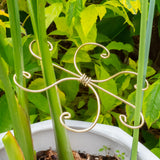 YOHSNOR 5PCS Monstera Plant Support Hooks-Gold 5.5in Stem Supports