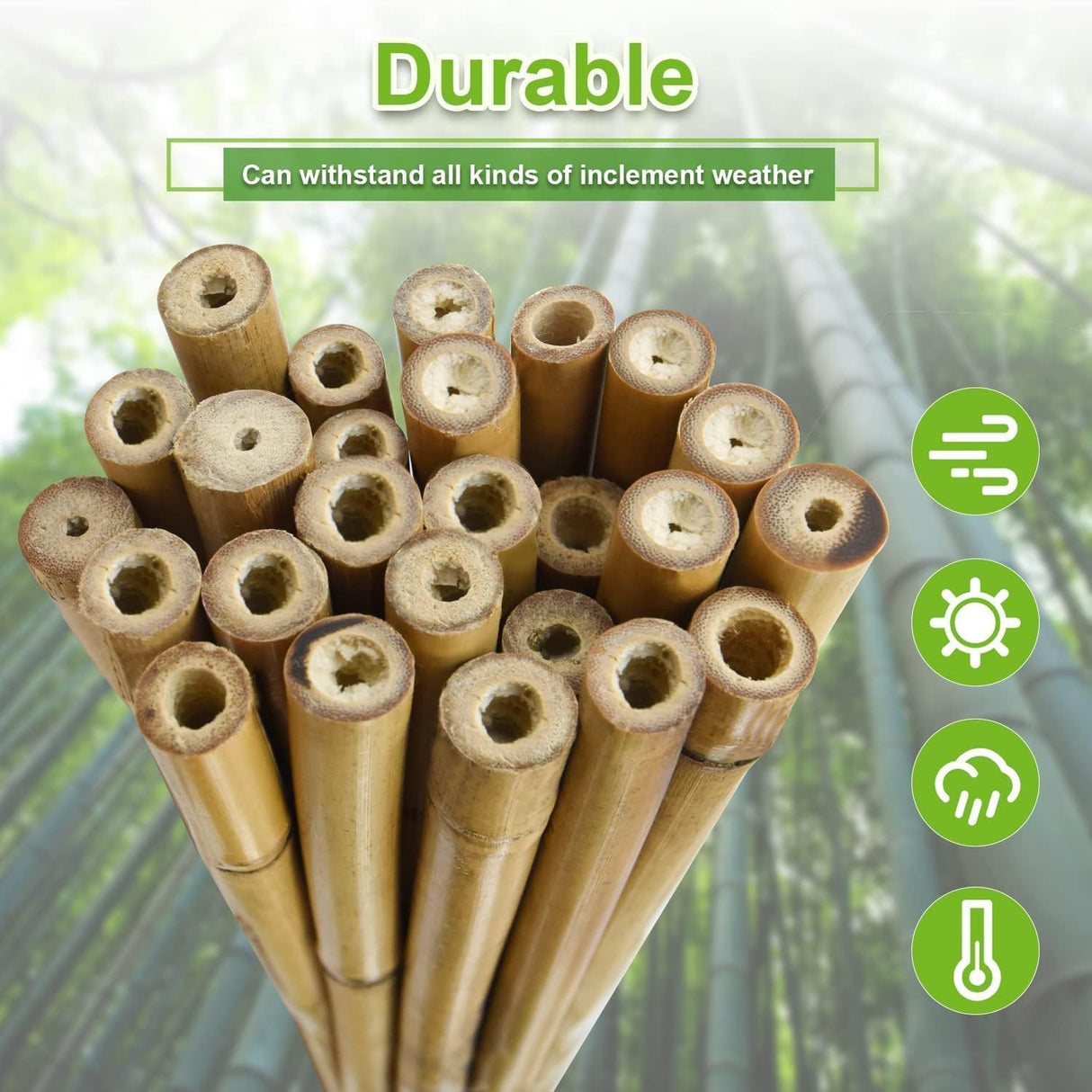 Jollybower 1/2" D 4.75 Feet Bamboo Stakes 50 Pack, Thicker Heavy-Duty Plant Stakes, Natural Garden Stakes for Bean, Tomato, Bean, Flowers,Trees Potted and Climbing Plant Support