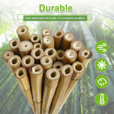 Jollybower 1/2" D 4.75 Feet Bamboo Stakes 50 Pack, Thicker Heavy-Duty Plant Stakes, Natural Garden Stakes for Bean, Tomato, Bean, Flowers,Trees Potted and Climbing Plant Support