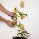 GOOOXIM 15 Pack Money Plant Hooks for Wall - Indoor Pothos Plant Support