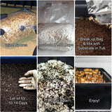 Complete Refill Kit for Large 66Q Monotub - Includes Grain Spawn & Bulk Substrate