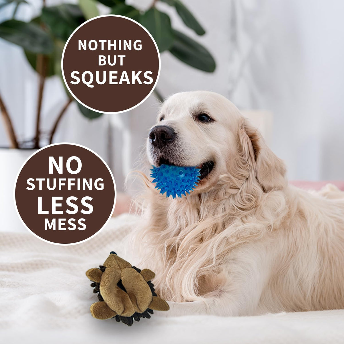 2-in-1 No-Stuffing Hedgehog Dog Toys 3 PCS, Squeaky Ball for Throwing Play