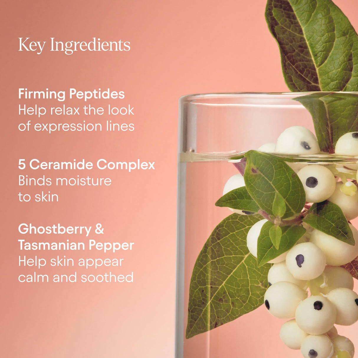 Alpyn Super Peptide & Ghostberry Moisturizer for Eczema, Barrier & Wrinkle Repair | Calm & Soothe Against Redness & Irritation | 1.7 oz / 50 ml