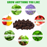 LAPOND 100 Pack Grow Sponges, Replacement Root Growth Sponges Seed Pods,Seed Starter Plugs for Hydroponic Indoor Garden System