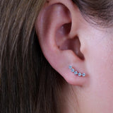 Limerencia Hypoallergenic Titanium Stud Earrings with Sparkling CZ, Silver