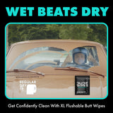 DUDE Wipes On-The-Go Flushable Wet Wipes - 30 Count, Pack of 2 - Mint Chill Extra-Large Individually Wrapped Wipes with Eucalyptus & Tea Tree Oil - Septic and Sewer Safe