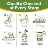 Doctor's Recipes Moringa 11,000 mg Strength, Complete Green Superfood, Natural Antioxidant Support, Non-GMO, 240 Vegan Caps, No Caffeine Soy Gluten