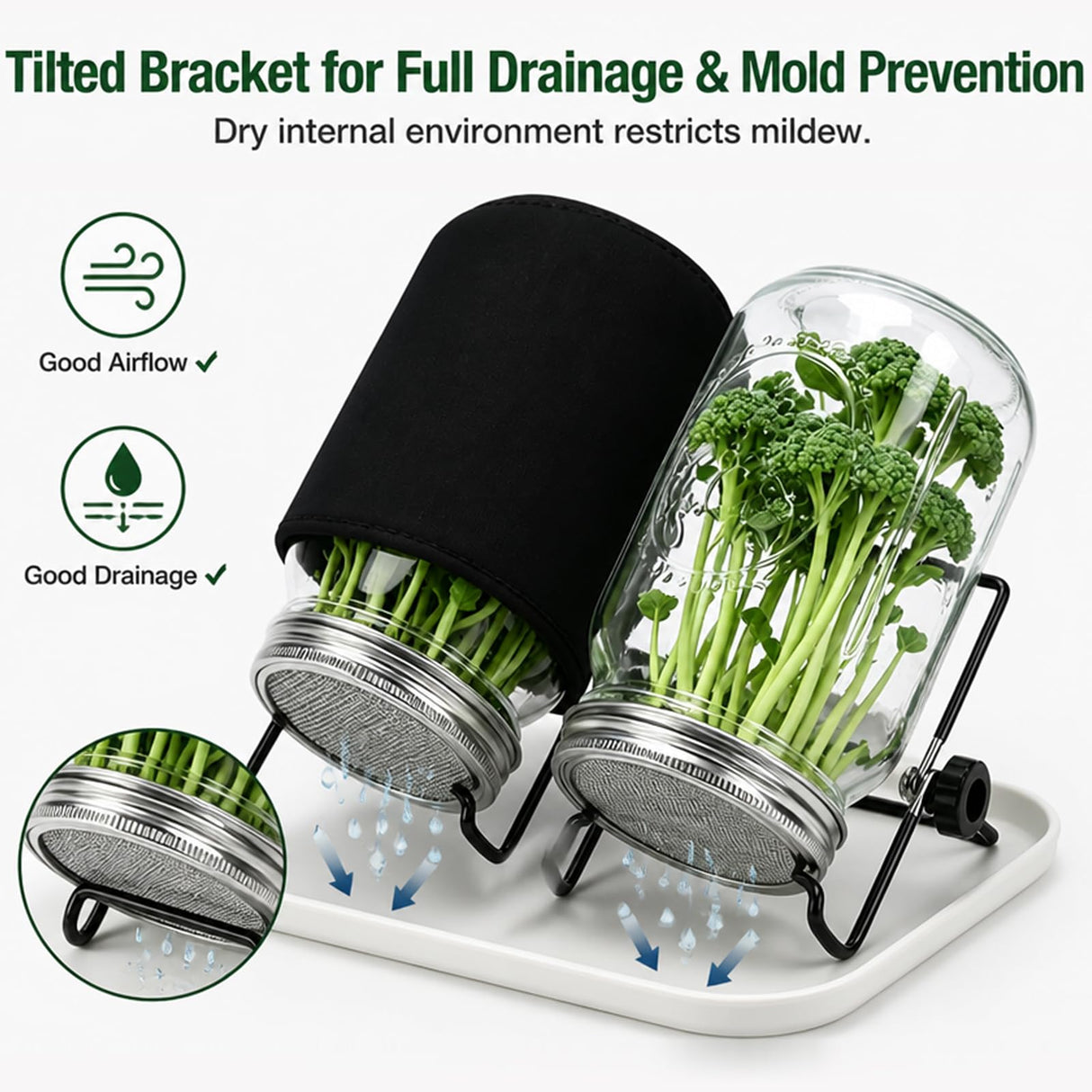 Broccoli Sprout Growing Kit, 2 Large 1000ML Wide Mouth Mason Jars with Sprout Lids, Stainless Steel Stand, Blackout Sleeves, Cleaning Brush, Drain Tray- Grow Broccoli, Alfalfa & Bean Microgreens