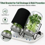 Broccoli Sprout Growing Kit, 2 Large 1000ML Wide Mouth Mason Jars with Sprout Lids, Stainless Steel Stand, Blackout Sleeves, Cleaning Brush, Drain Tray- Grow Broccoli, Alfalfa & Bean Microgreens