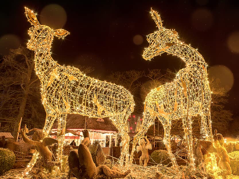 suddus 200 Led Connectable Christmas Lights Outdoor Waterproof, 66ft Fairy Lights Plug in with Remote, Warm White Christmas Tree Light Indoor for Xmas Holiday, Party, Porch, Patio, Garden Decor