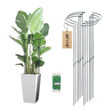 Tiuire 24in Tall Heavy-Duty Plant Support Stakes, 6 Pack Adjustable Peony Cages & Supports for Outdoor Plants, Large Garden Plant Stakes for Peony, Tomato