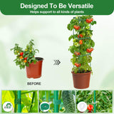 Lezmarket 3 Pack Tomato Cages for Garden, Tomato Trellis for Raised Garden Bed with Plant Clips and Twist Ties for Climbing Plants, 43 inches