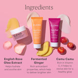 ELEMIS Way to Glow Skincare Kit, Travel Set with Travel-Size Rose Cleansing Balm, Glow Priming Moisturizer & Midnight Facial, Nourish & Illuminate Skin all day