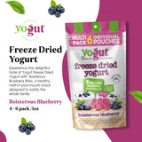YoGut Freeze Dried Yogurt Snack, Blueberry, 6 Pack, Healthy Snacks for Kids, Toddlers & Adults, Gluten Free, Non GMO, With 5 Billion Live Probiotics, Vitamins & Minerals, Individual Snack Packs