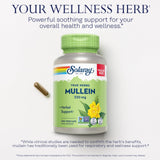Solaray Mullein Leaf 330 mg - Soothing Herbal Support - Mullein Capsules Traditionally Used to Support Health and Wellness - Vegan, Non-GMO, Lab Verified, 60-Day Guarantee, 200 Servings, 200 VegCaps