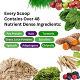 Paradise Herbs ORAC Energy Protein & Greens Powder, Antioxidant Power of 24 Servings of Fruits & Vegetables in 1 Scoop + 20g Protein, Unflavored, 15 Servings