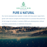 Holistic Bin Marine Phytoplankton Powder Naturally Grown in Nordic Seawater | Vegan Omega 3 Supplement | Rich in Amino Acids, Chlorophyll, Vitamins, & Trace Minerals (50g)
