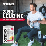 Xtend Original BCAA Powder 7g BCAA and 2.5g L-Glutamine, Sugar Free Post Workout Muscle Recovery Drink with Amino Acids for Men & Women, 30 Servings