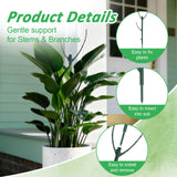 MXCOIRTP 10 Pack Stackable Plant Support Stakes & Adjustable Circular Trellis, Garden Trellis for Climbing Plants Indoor and Outdoor Use, Garden Accessories for Monstera, Pothos, Tomato