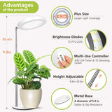 GTRUIIDY Desktop Grow Light, Full Spectrum Plant Light with Timer, Height Adjustable Halo Grow Lamp for Indoor Plants, 3 Lighting Modes for Seedlings & Succulents, White