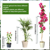 Mwellewm 6 Sets Plant Stakes 12/25/36 Inch Adjustable Plant Support Stakes Tall for Indoor Outdoor Plant Holder Stick Steel Garden Stem Pole Amaryllis Stakes with 30 Clip for Tomato Orchid Lily Flower