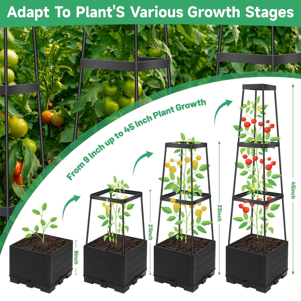 2 Packs Tomato Planter Pot with Raised Bed Trellis, 45" Tomato Cages for Climbing Vegetables, Self Watering Tomato Growing Container Planters Box for Indoor Outdoor Garden Bed Greenhouse