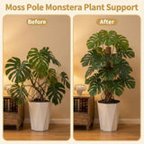 28'' Bendable Moss Poles & 12'' Stackable Coir Plant Sticks for Monstera