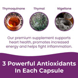 Infinite Age Dry Organic Black Seed Oil Extract Capsules, 60 Count - Nigella Sativa Immune Booster for Optimal Skin, Hair, Memory, Focus, Brain Health and Immunity - Thymoquinone Supplement