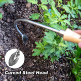 Berry&Bird Weed Puller, Crack Weeder Cultivator Garden Hand Tool