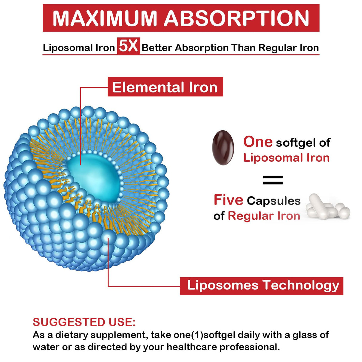 Liposomal Fe Iron Supplement for Women, 65 mg Iron Supplement with Folic Acid & Vitamin B12 for Men, Daily Blood & Energy Support for Adults Iron Deficiency 60 Softgels (1 Bottle)