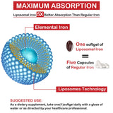 Liposomal Fe Iron Supplement for Women, 65 mg Iron Supplement with Folic Acid & Vitamin B12 for Men, Daily Blood & Energy Support for Adults Iron Deficiency 60 Softgels (1 Bottle)