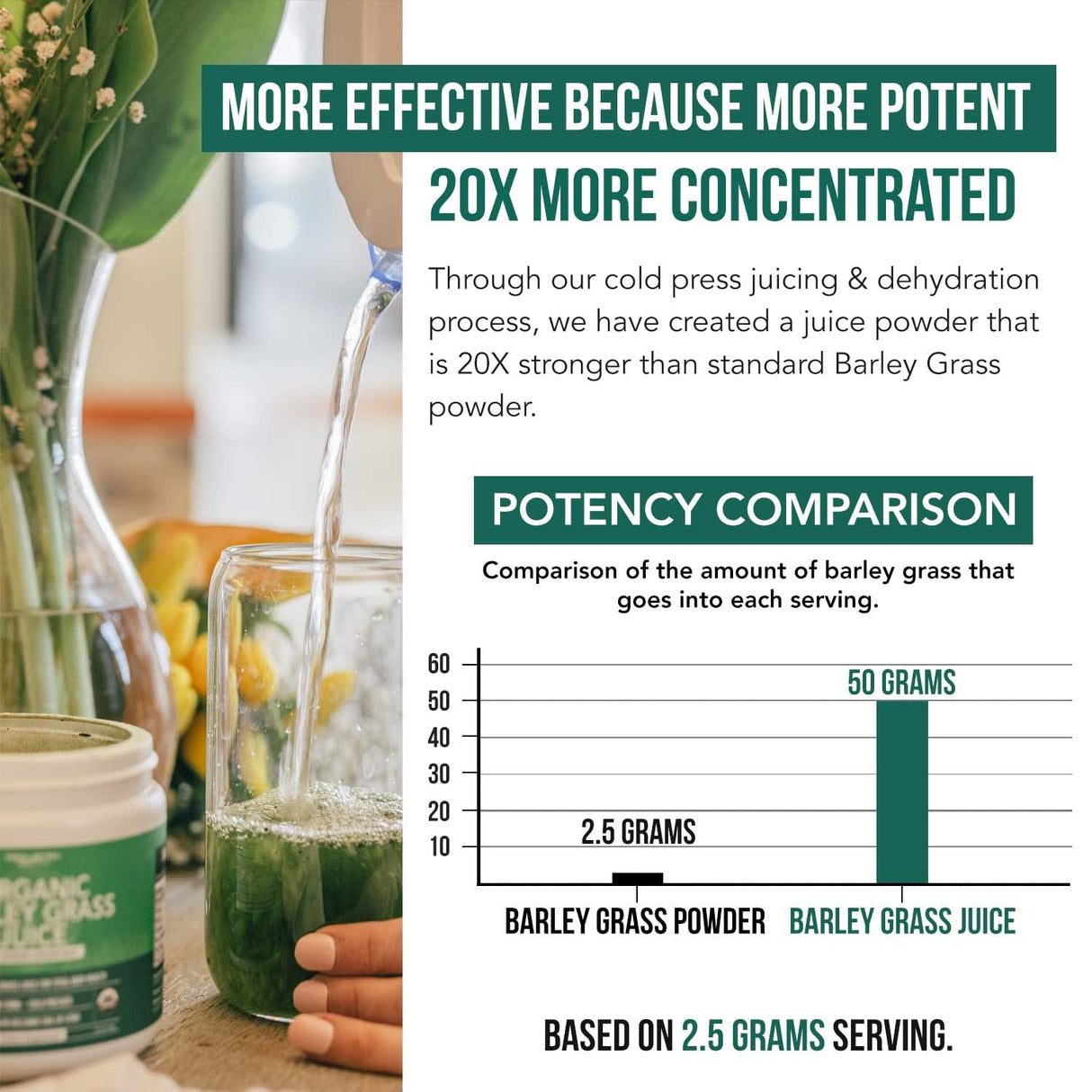 Organic Barley Grass Juice Powder - Grown in Volcanic Soil of Utah - Raw & BioActive Form, Cold-Pressed then CO2 Dried – Gluten Free, GMO free, Vegan - Complements Wheatgrass Juice Powder - 5.3 oz