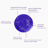 KEVIN.MURPHY BLONDE.ANGEL.WASH - Blonde Shampoo - Purple Shampoo for Blonde & Grey Hair - Colour Enhancement Hair Care - Colour Safe - Paraben & Sulphate Free - 1000 mL / 33.8 fl oz