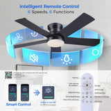 Ayaoty Ceiling Fans with Lights - 48" Black Flush Mount Ceiling Fan Light with 6 Speeds 3CCT Dimmable, Revesible Motor, Low Profile Fan Light for Modern Indoor Bedroom, Kitchen