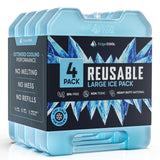 RIDGECOOL 4 Pack Reusable Large Ice Packs for Cooler, Long Lasting Freezer Packs for Camping, Beach, and Road Trips, Cooler Ice Packs BPA-Free Non-Toxic, 8"x 6.7"
