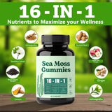 Hemdnt Sea Moss Gummies 16-in-1, with Bladderwrack & Burdock Root, Organic Immune Support, Energy, Digestion – Vegan, Non-GMO, Gluten-Free (60 Gummies)