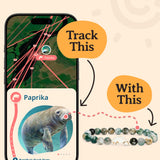 Fahlo Drift Manatee Tracking Bracelet, Sky Stone, One Size