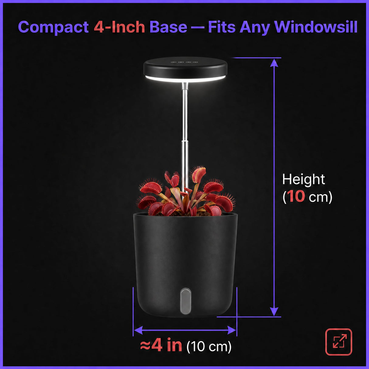 Raygrov Self-Watering Planter with Grow Light, Smart Indoor Pot for Venus Fly Trap, Carnivorous Plants, African Violet, Cat Grass, Catnip & Herbs, 2-in-1 Wall + Desktop, USB 5W Full Spectrum LED