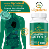 Ulmubra 800 MG Liposomal Luteolin Supplement - Maximum Absorption, Premium Antioxidant Supplement for Brain & Overall Well-Being, 60 Softgels - 30-Day Supply