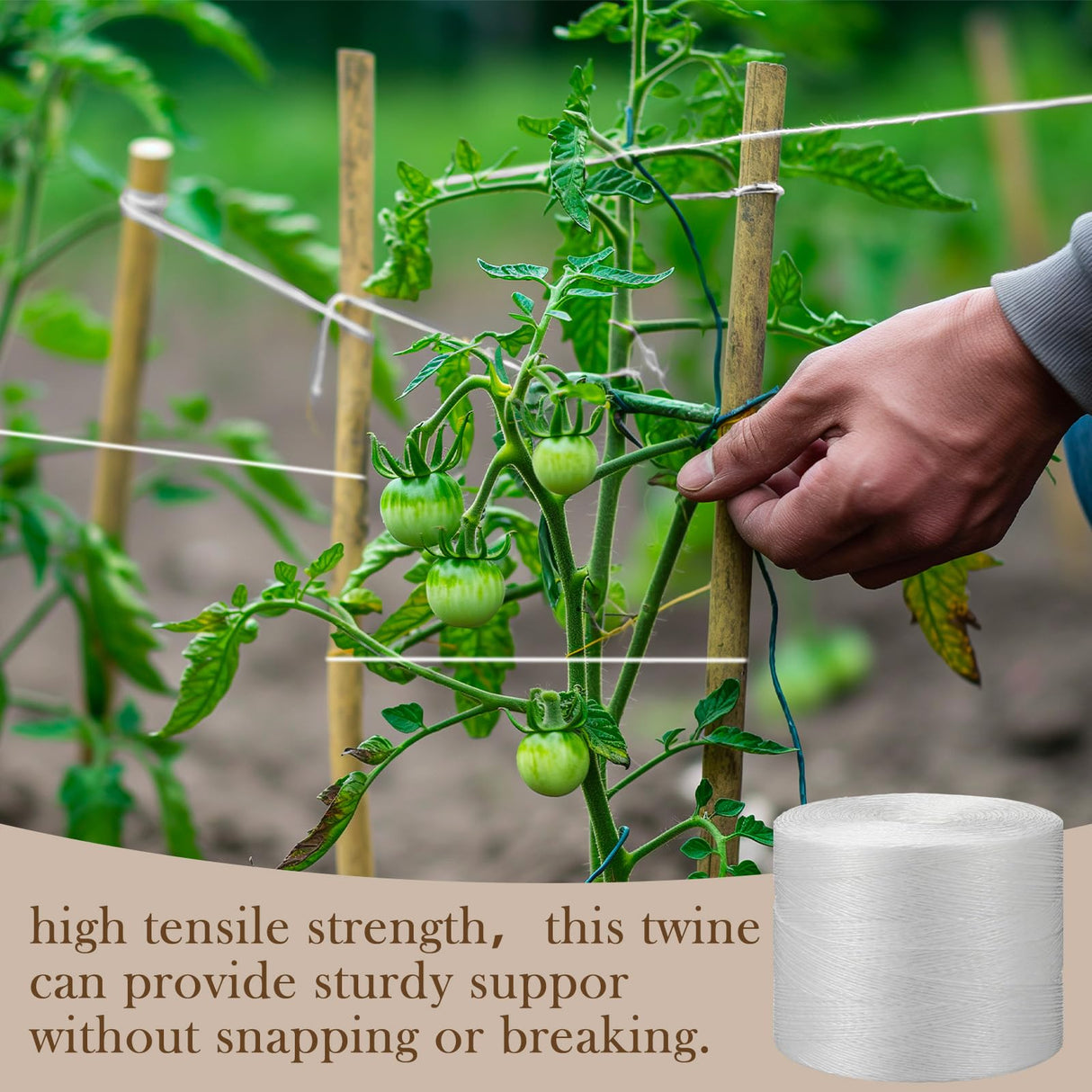 Yoojahow 6150 Ft Tomato Tying Garden Twine with Cardboard Storage Box Heavy Duty White Polypropylene Twine for Florida Weave Trellis Tomatoes, Climbing Plants, Floristry