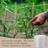 Yoojahow 6150 Ft Tomato Tying Garden Twine with Cardboard Storage Box Heavy Duty White Polypropylene Twine for Florida Weave Trellis Tomatoes, Climbing Plants, Floristry