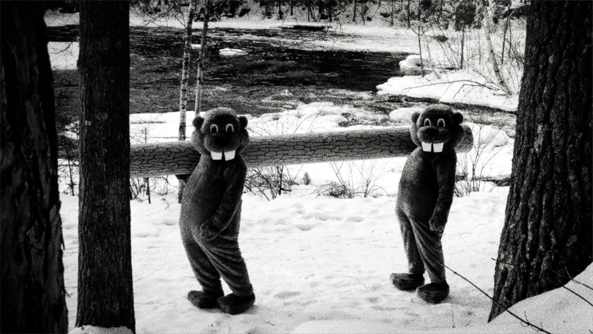 Hundreds of Beavers [Blu-ray]