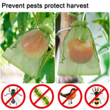 Uigidori 100 Pcs Fruit Protection Bags, 8 x 12 Inch Green Netting Cover Bags with Drawstring, Pest Barrier for Trees, Garden Cover Mesh Bags for Plant Fruit, Flower and Vegetables
