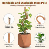 28'' Bendable Moss Poles & 12'' Stackable Coir Plant Sticks for Monstera