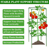 ZeeDix 6 Pack 60 Inch Heavy Duty Tomato Cages for Garden with Clips