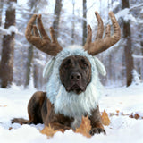 Funny Moose Costumes for Dog, Cute Furry Pet Wig for Halloween Christmas, Pet Clothing Accessories (Moose, Size L)