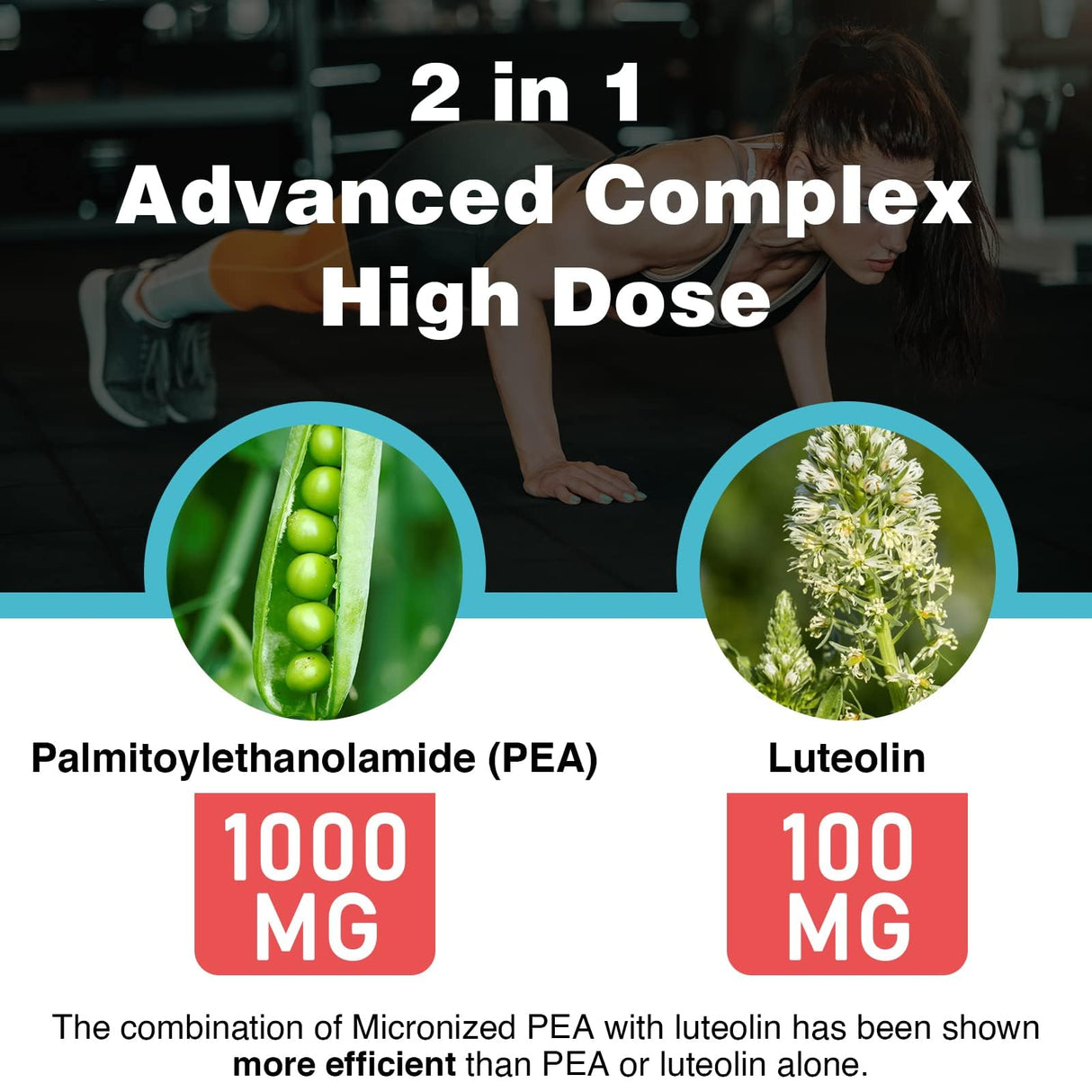 Liposomal Palmitoylethanolamide 1000 mg + Luteolin 100 mg, Micronized Pea 99% Highly Purified - Enhanced Absorption and Bioavailability, 60 Softgels