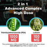 Liposomal Palmitoylethanolamide 1000 mg + Luteolin 100 mg, Micronized Pea 99% Highly Purified - Enhanced Absorption and Bioavailability, 60 Softgels