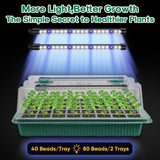 BlumWay Seed Starter Tray with Grow Light,2 Pack 80 Cells Seedling Tray Kit with Humidity Dome/Indoor Plant Starter Kit, Adjustable Brightness Plant Germination Trays-Green